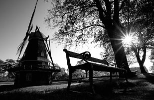 Sunny Nordic Afternoon 