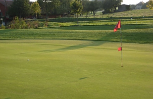 Evening on the green 
