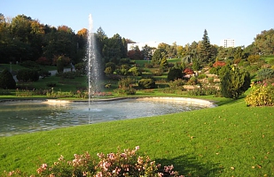 Sunny autumn afternoon 