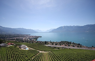 Lake and Vineyards 