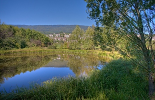 Another shadowed green pond 