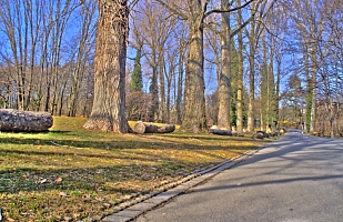 First HDR picture 