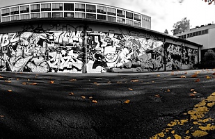 Black and white are also Autumn's colors 